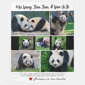 Pandas géantes DC - Couverture "Dans nos coeurs"