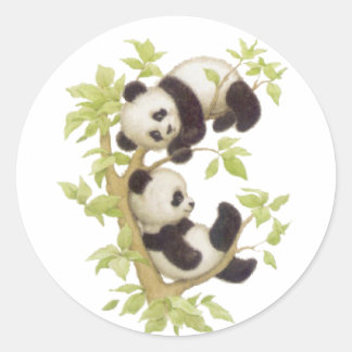 Pandas Playing in a Tree Classic Round Sticker