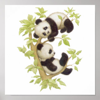 Pandas Playing in a Tree Poster