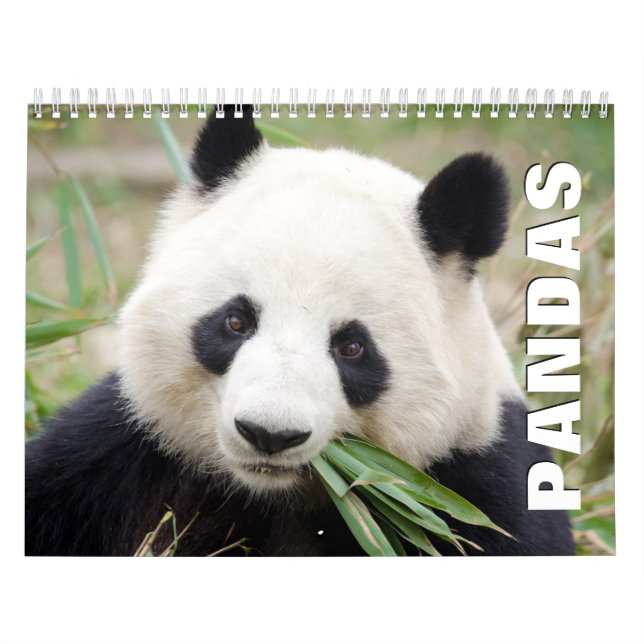 Pandas Wall Calendar (Cover)