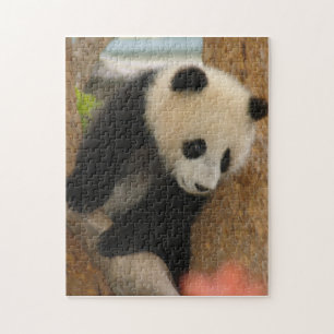 PandaSD009 Jigsaw Puzzle