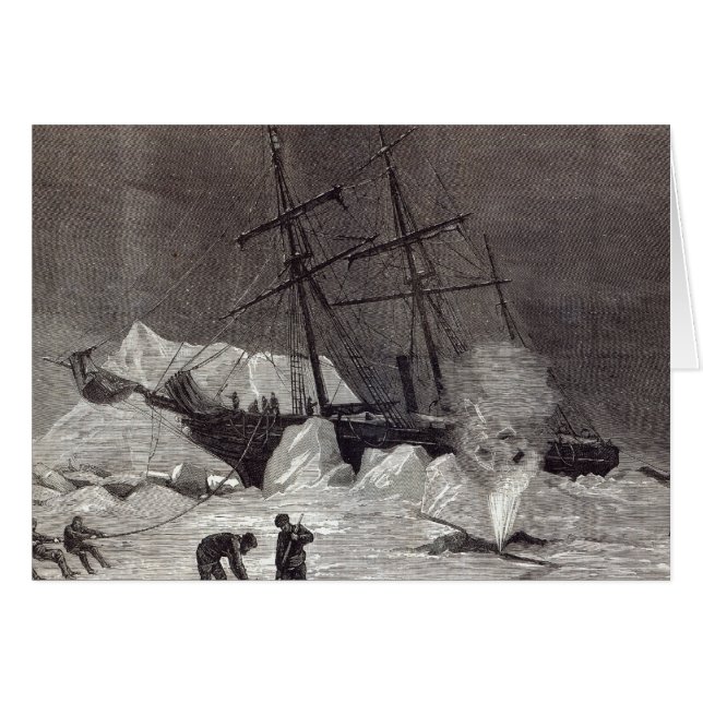 Pandora' nipped in the ice (Front Horizontal)