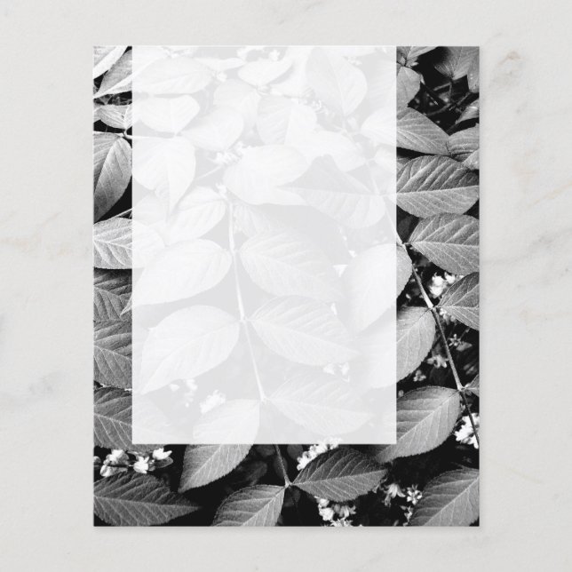 Panel 037 - Leaves Flyer (Front)