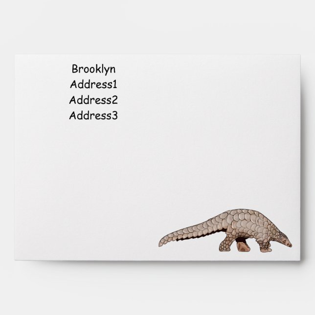 Pangolin cartoon illustration envelope (Front)