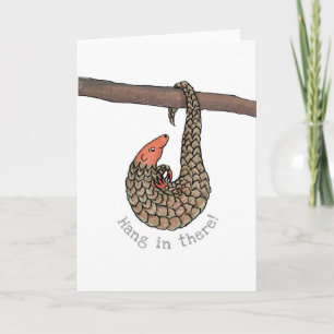 Pangolin 'hang in there' card