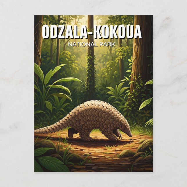 Pangolin in Odzala-Kokoua National Park Congo Postcard (Front)