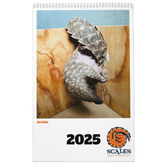 Pangolin Rescue Fund Calendar 2025
