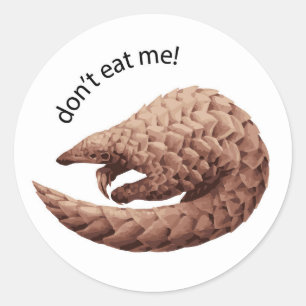 Pangolin Sticker