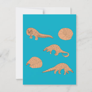 Pangolins Postcard