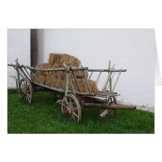 Panier (Devant horizontal)