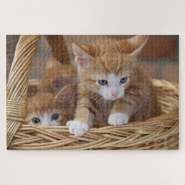 panier chatons puzzle (Horizontal)