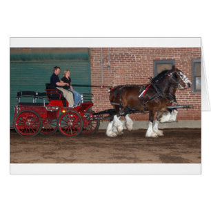 Panier Clydesdales