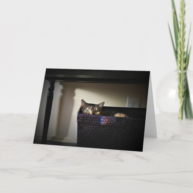 Panier de chat, carte (Devant)