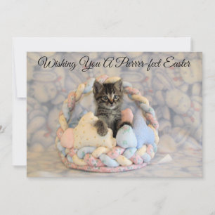 Panier de Pâques de Patton - Chat/Chaton  - Carte 