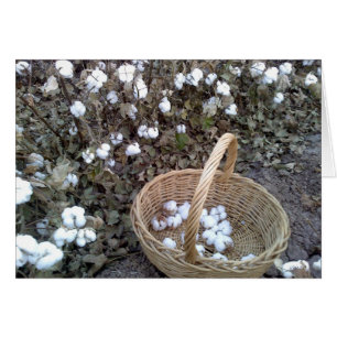 Panier de Pickin de coton