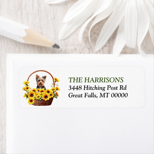 Panier de tournesol Yorkshire Terrier Chien (En situation)