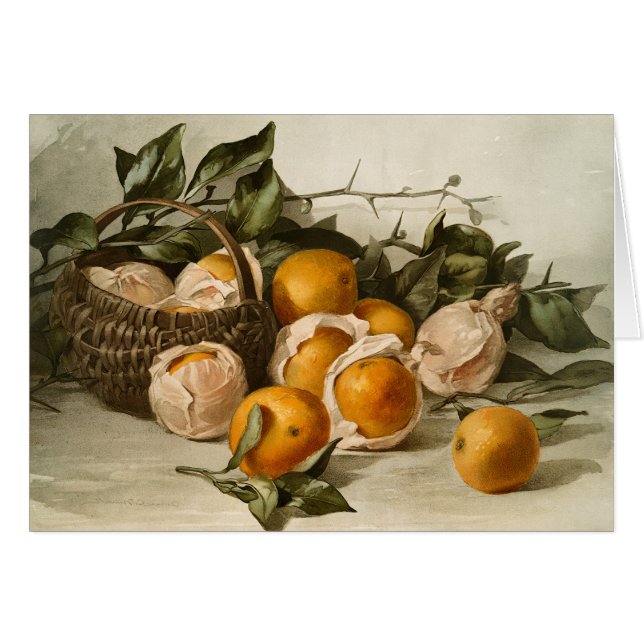 Panier d'oranges (Devant horizontal)