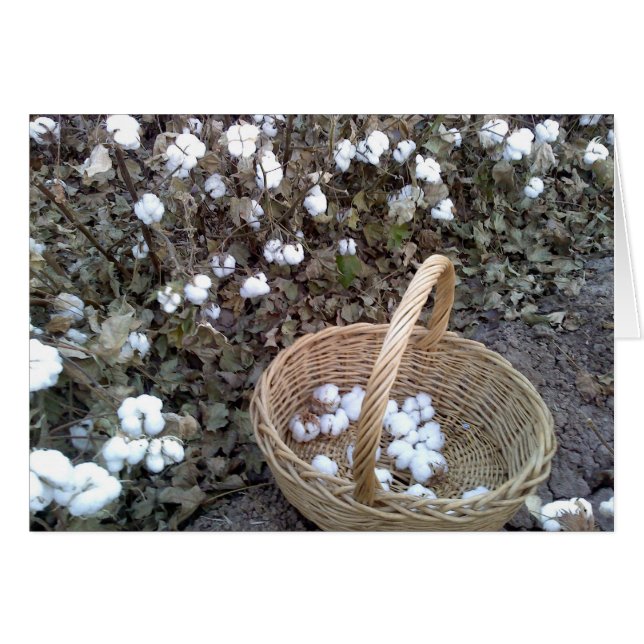 Panier en coton (Devant horizontal)