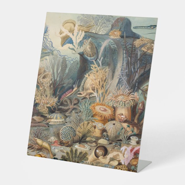 Panneau central en plastique 10"X12" (Recto)