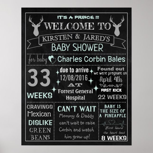 Panneau du tableau de bord du Baby shower de garço (Devant)