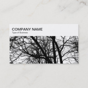 Panneau supérieur - Carte de visite de branches à 