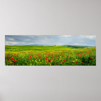 Panorama du paysage toscan Poster