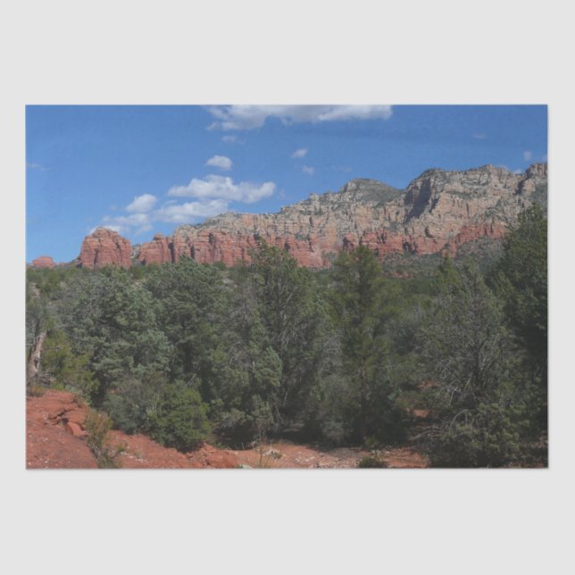 Panorama of Red Rocks in Sedona Arizona Tissue Paper (Front)