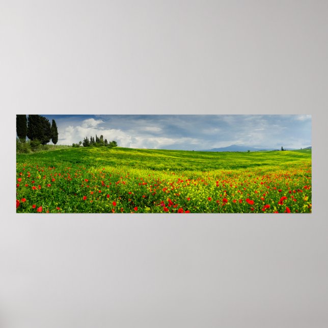Panorama of Tuscan landscape Poster (Front)