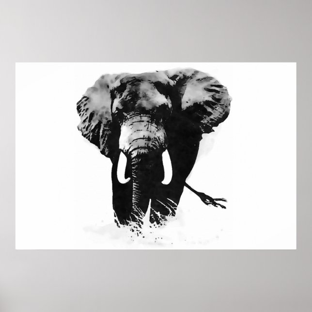 Panoramic B&W Elephant Posters Prints (Front)