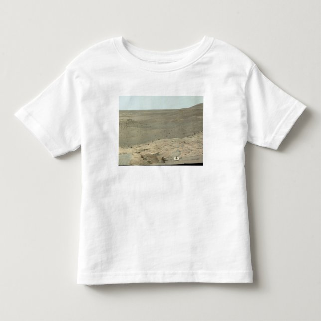 Panoramic view of Mars 2 Toddler T-shirt (Front)