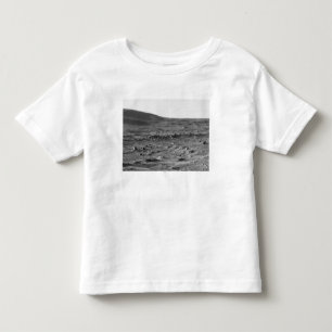 Panoramic view of Mars 6 Toddler T-shirt