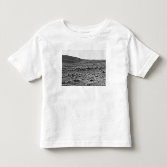 Panoramic view of Mars 6 Toddler T-shirt (Front)