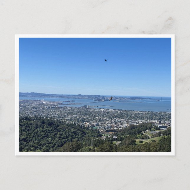Panoramic View of San Francisco Skyline  Postcard (Front)