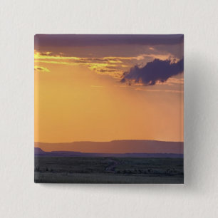 Panoramic view of single acacia tree at 2 inch square button