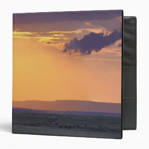 Panoramic view of single acacia tree at binder