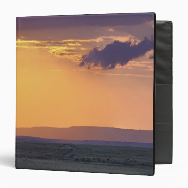 Panoramic view of single acacia tree at binder (Front/Inside)