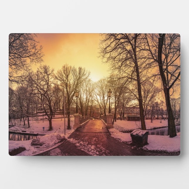 Panoramic view of snowy park during sunset in Riga Plaque (Front)