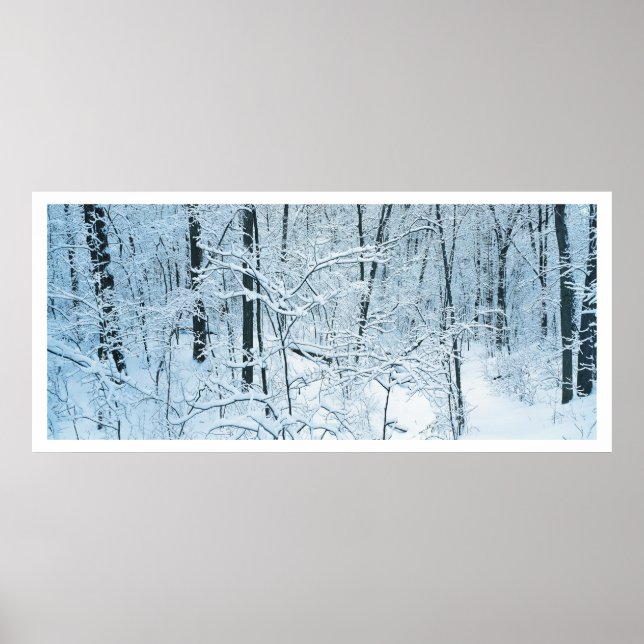 Panoramic Winter landscape Poster (Front)