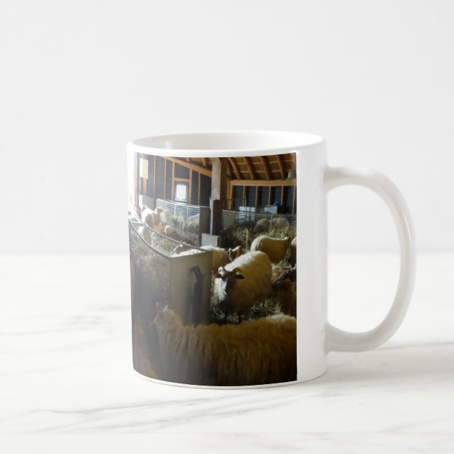 Panoramique Scheg Mug (Droite)