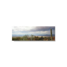 Panoromic of Arizona Monsoon Landscape