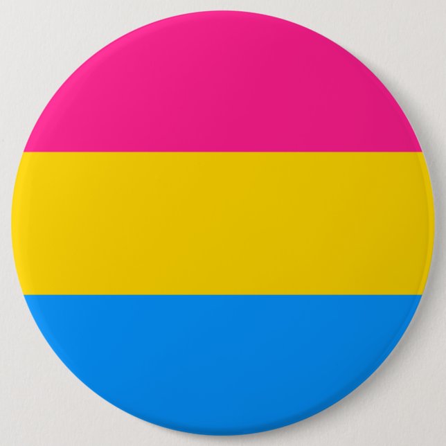 Pansexual flag 6 inch round button (Front)