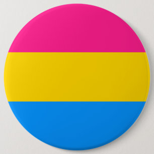 Pansexual flag 6 inch round button