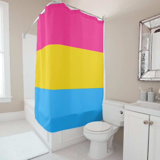 Pansexual Pride Flag (In Situ)
