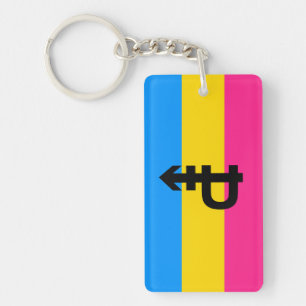 Pansexual Pride Flag Keychain