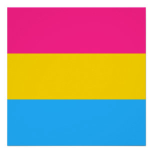 Pansexual Pride Flag LGBTQ Poster