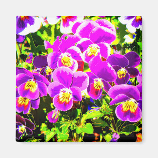 Pansies_2006_Magnet Magnet