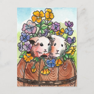 Pansies and Friends Postcard