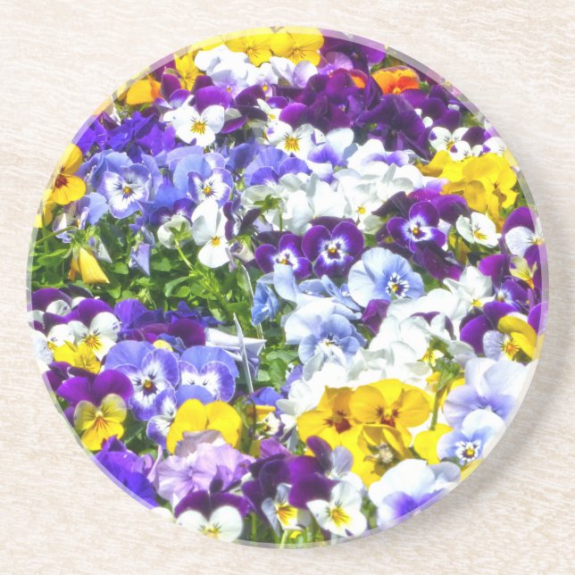 Pansies Coaster (Front)