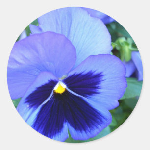Pansies - CricketDiane Photographic Floral Art Classic Round Sticker