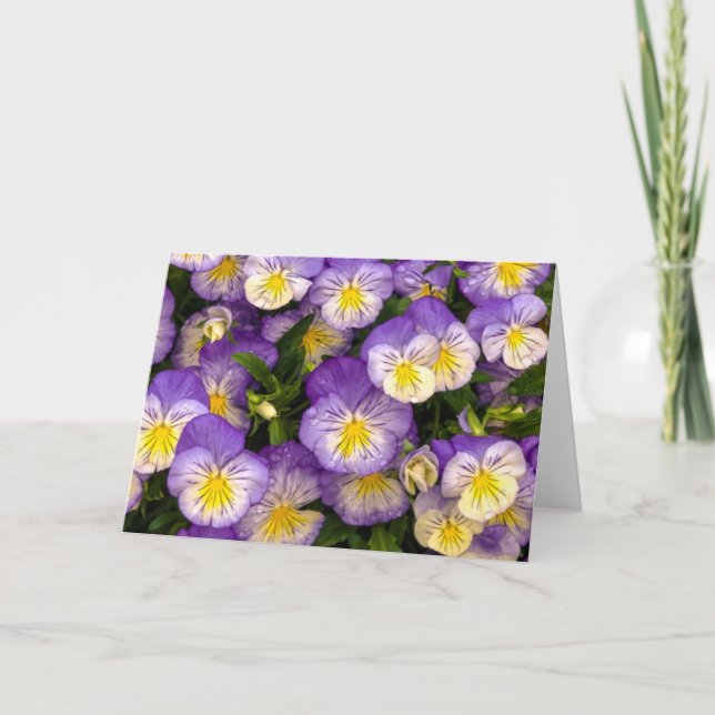 Pansies Greeting Card (Front)